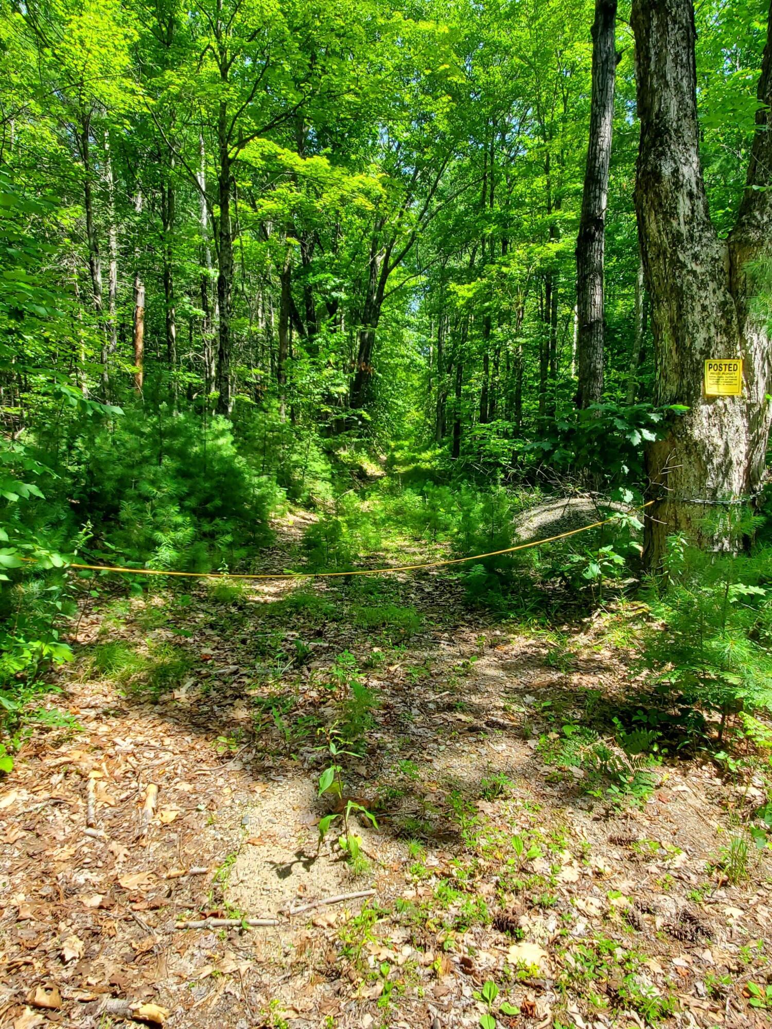 Lot 30 Middle Road Waterboro, ME 04087 - Photo 4 of 10 20250724_132150
