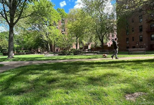 a garden with trees in the background
