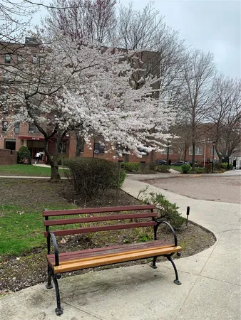 a view of backyard with seating space and trees