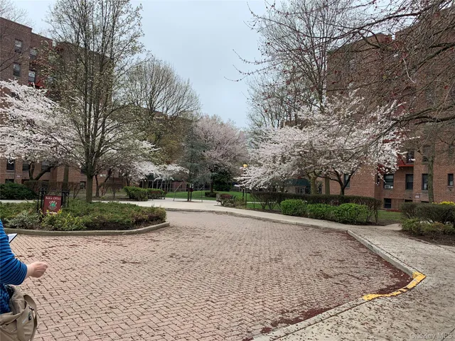 a view of a yard with plants and trees