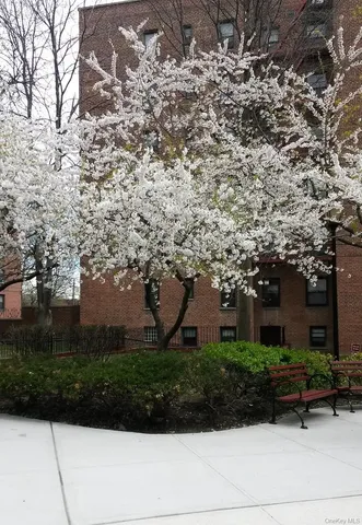 a view of a garden with pathway