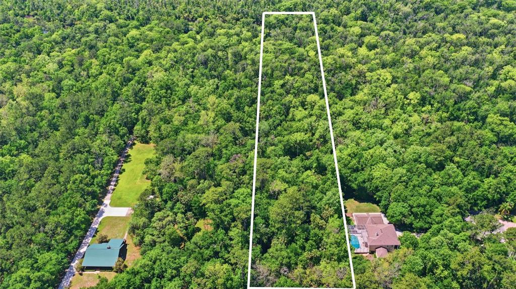 Delk Road Longwood, FL 32779 - Photo 5 of 13 Gallery Image 5