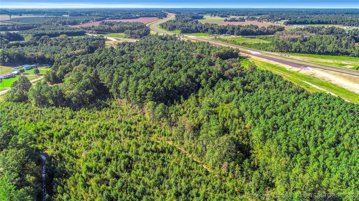 0 Everett Road Parkton, NC 28371 - Photo 2 of 29