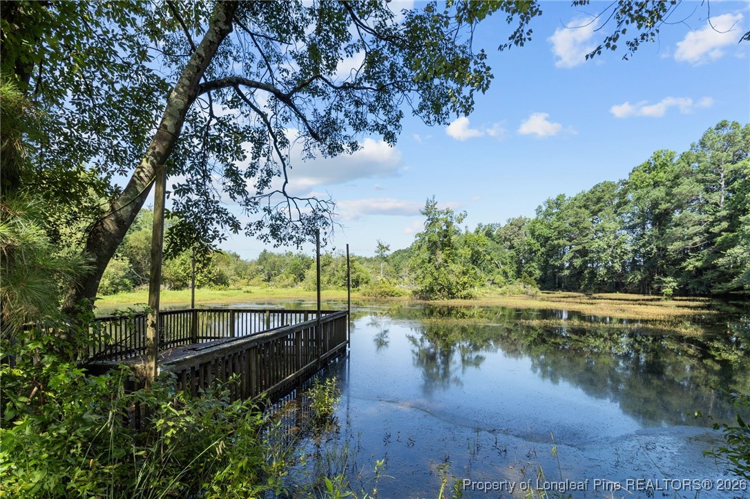 0 Everett Road Parkton, NC 28371 - Photo 21 of 29