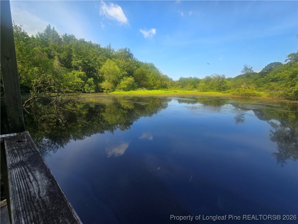 0 Everett Road Parkton, NC 28371 - Photo 22 of 29