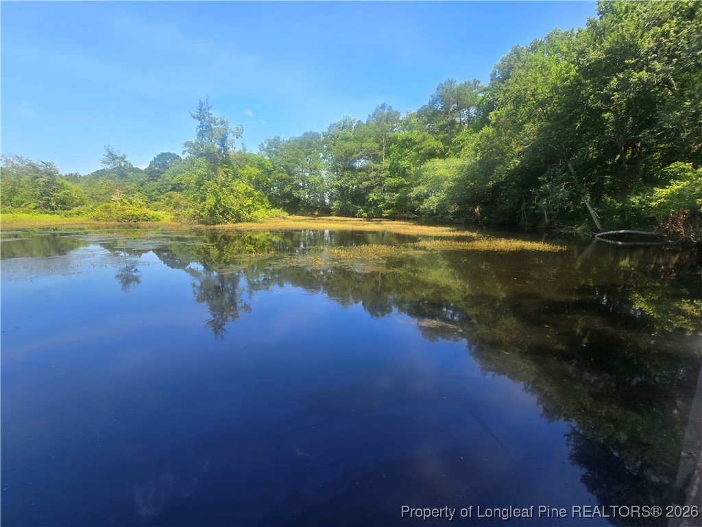 0 Everett Road Parkton, NC 28371 - Photo 23 of 29