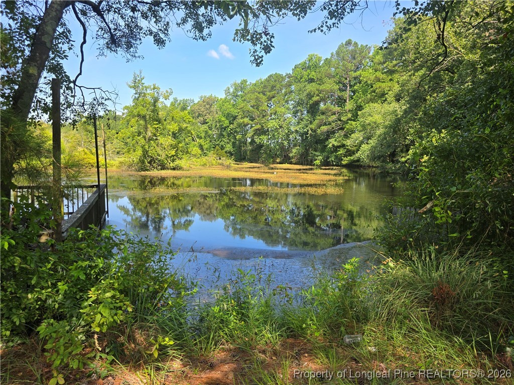 0 Everett Road Parkton, NC 28371 - Photo 24 of 29