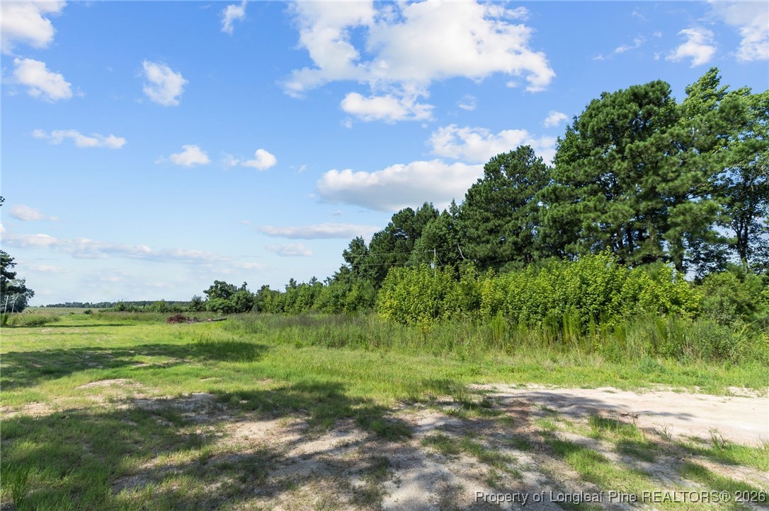 0 Everett Road Parkton, NC 28371 - Photo 26 of 29