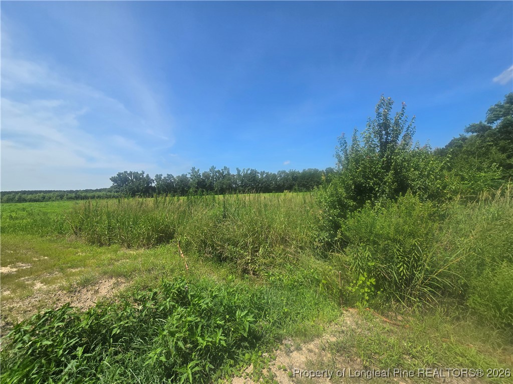 0 Everett Road Parkton, NC 28371 - Photo 28 of 29