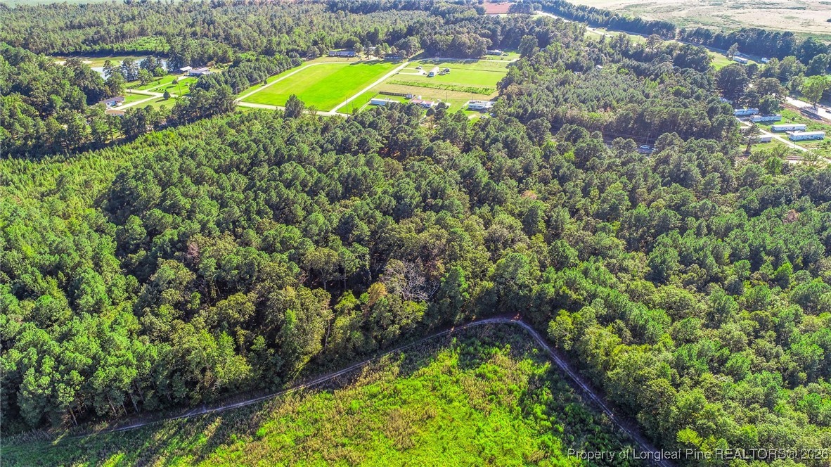 0 Everett Road Parkton, NC 28371 - Photo 4 of 29