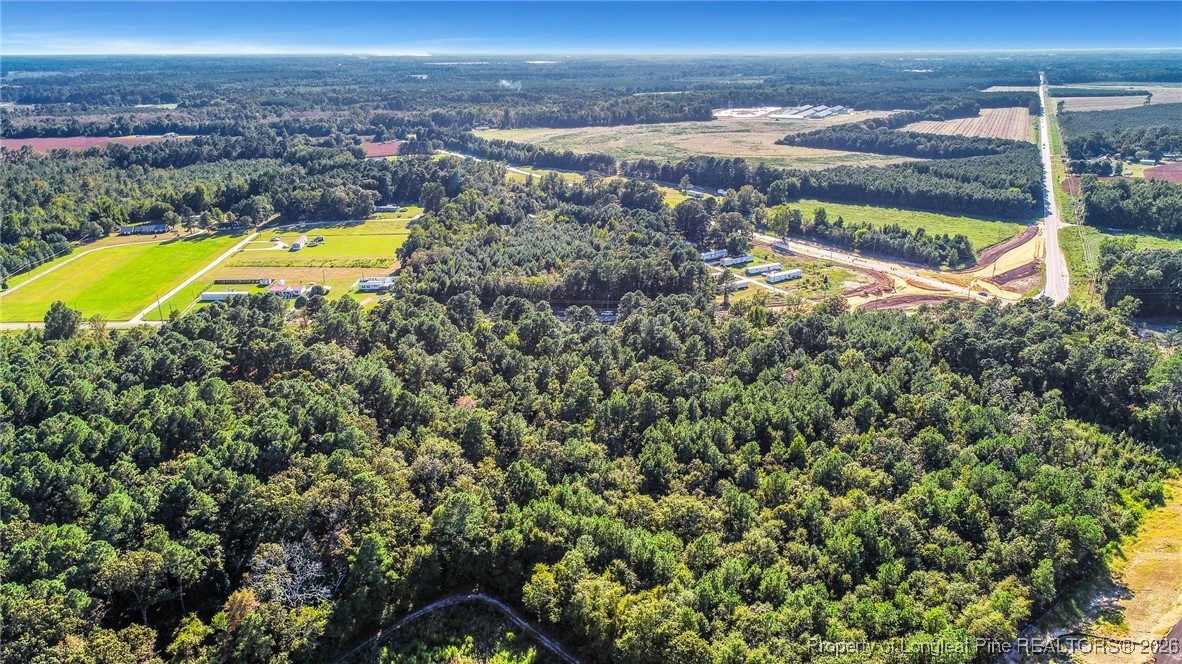 0 Everett Road Parkton, NC 28371 - Photo 5 of 29