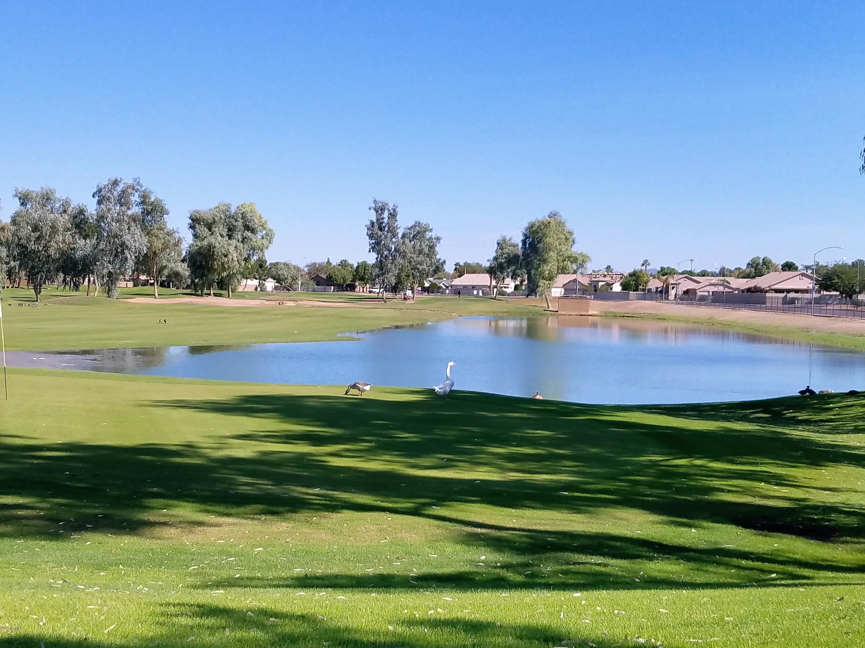 8765 West Lamar Road Glendale, AZ 85305 - Photo 53 of 57 20161029_113542 (3)