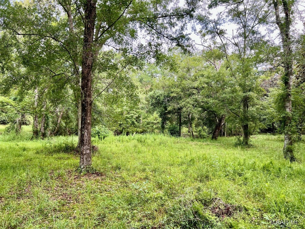 165 Wrights Road Slocomb, AL 36375 - Photo 16 of 35 Gallery Image 16