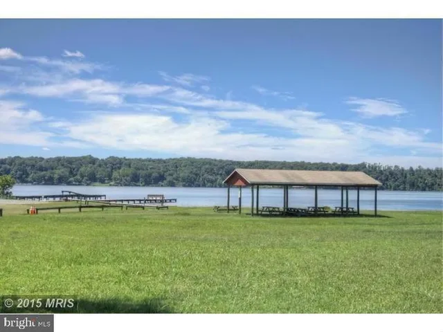 a view of a swimming pool with lawn chairs and large trees