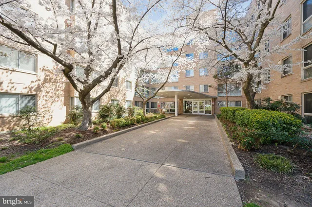 a view of house with yard