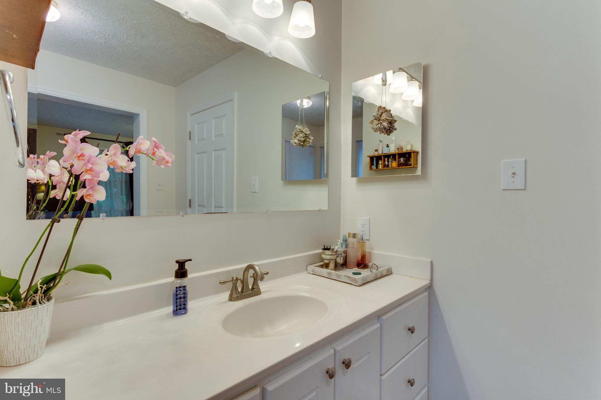 8499 North Point Road Manassas, VA 20112 - Photo 13 of 30 Bath (Master)