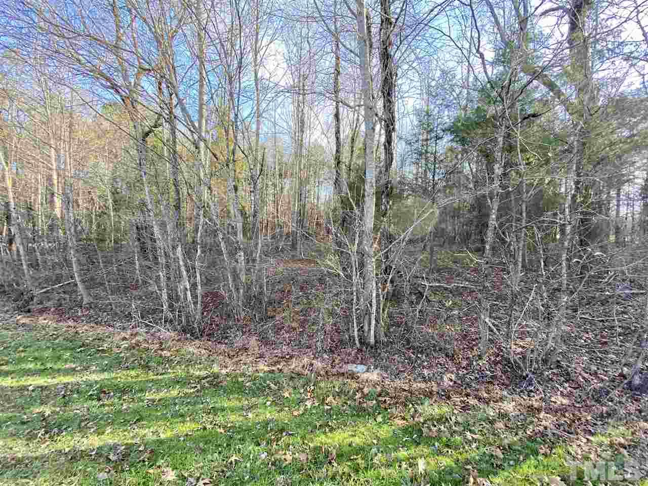 Cousin Road Rougemont, NC 27572 - Photo 3 of 6