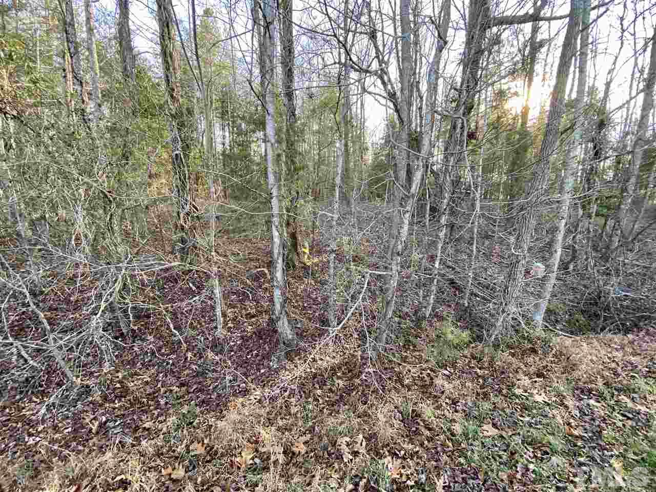 Cousin Road Rougemont, NC 27572 - Photo 4 of 6