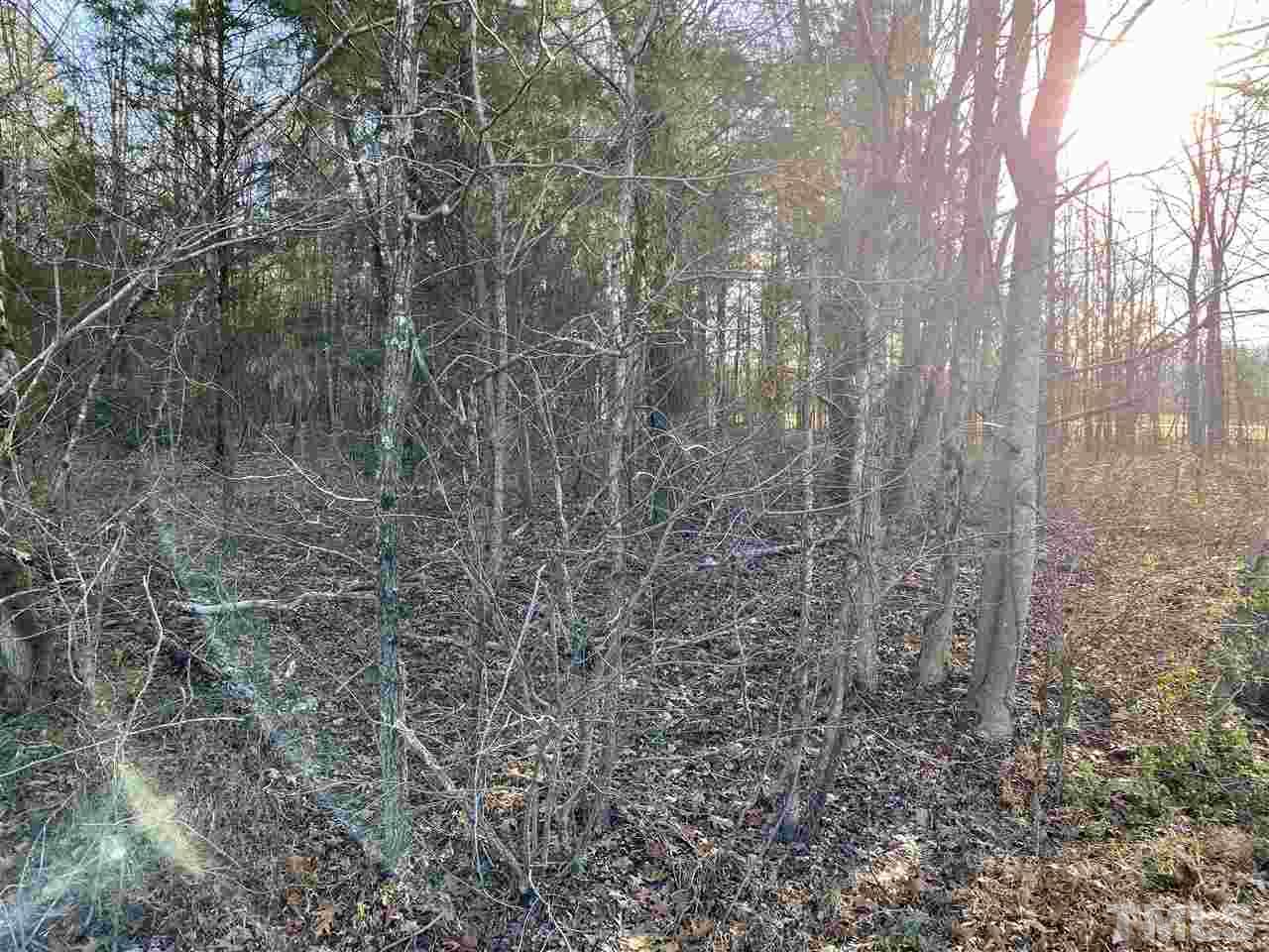 Cousin Road Rougemont, NC 27572 - Photo 6 of 6