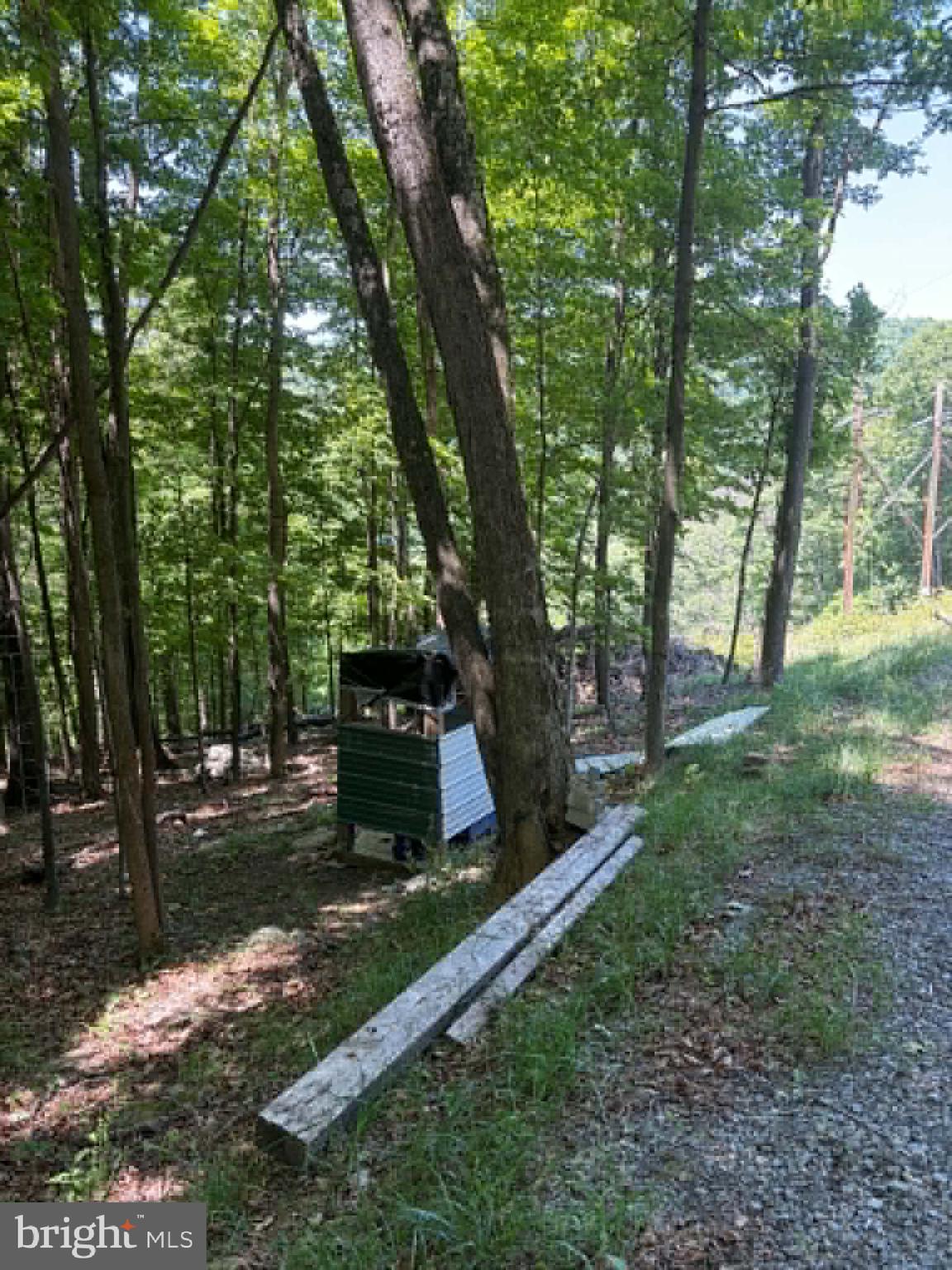 1515 Barnum Road Keyser, WV 26726 - Photo 40 of 64