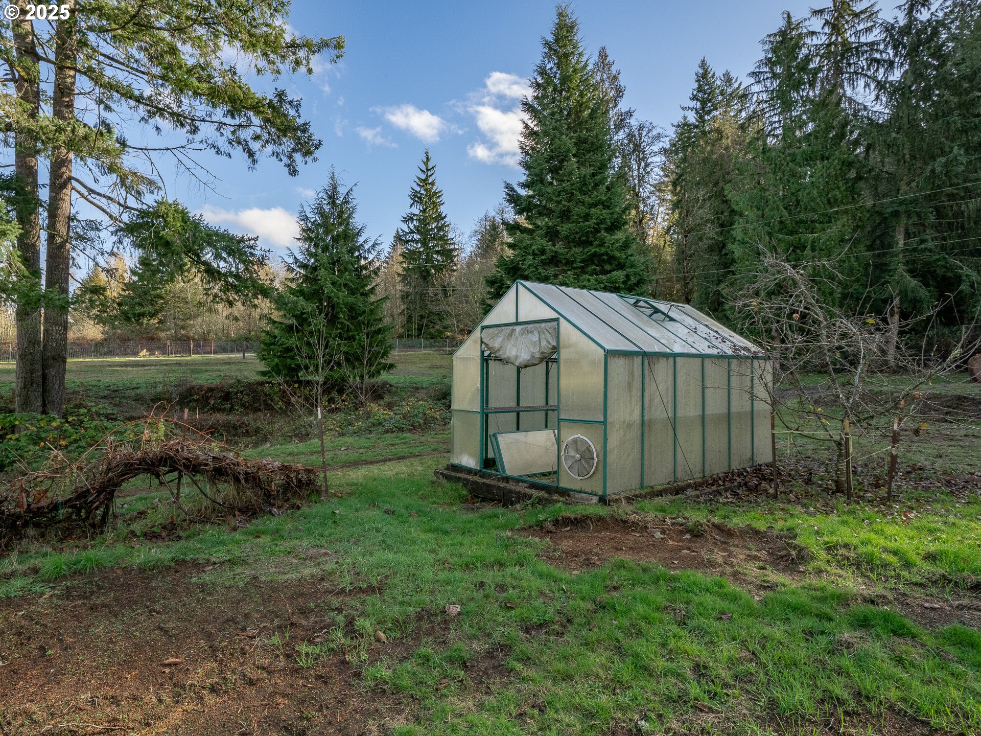 44300 Southeast Sandercock Lane Sandy, OR 97055 - Photo 45 of 48 a view of a tiny house with yard and trees