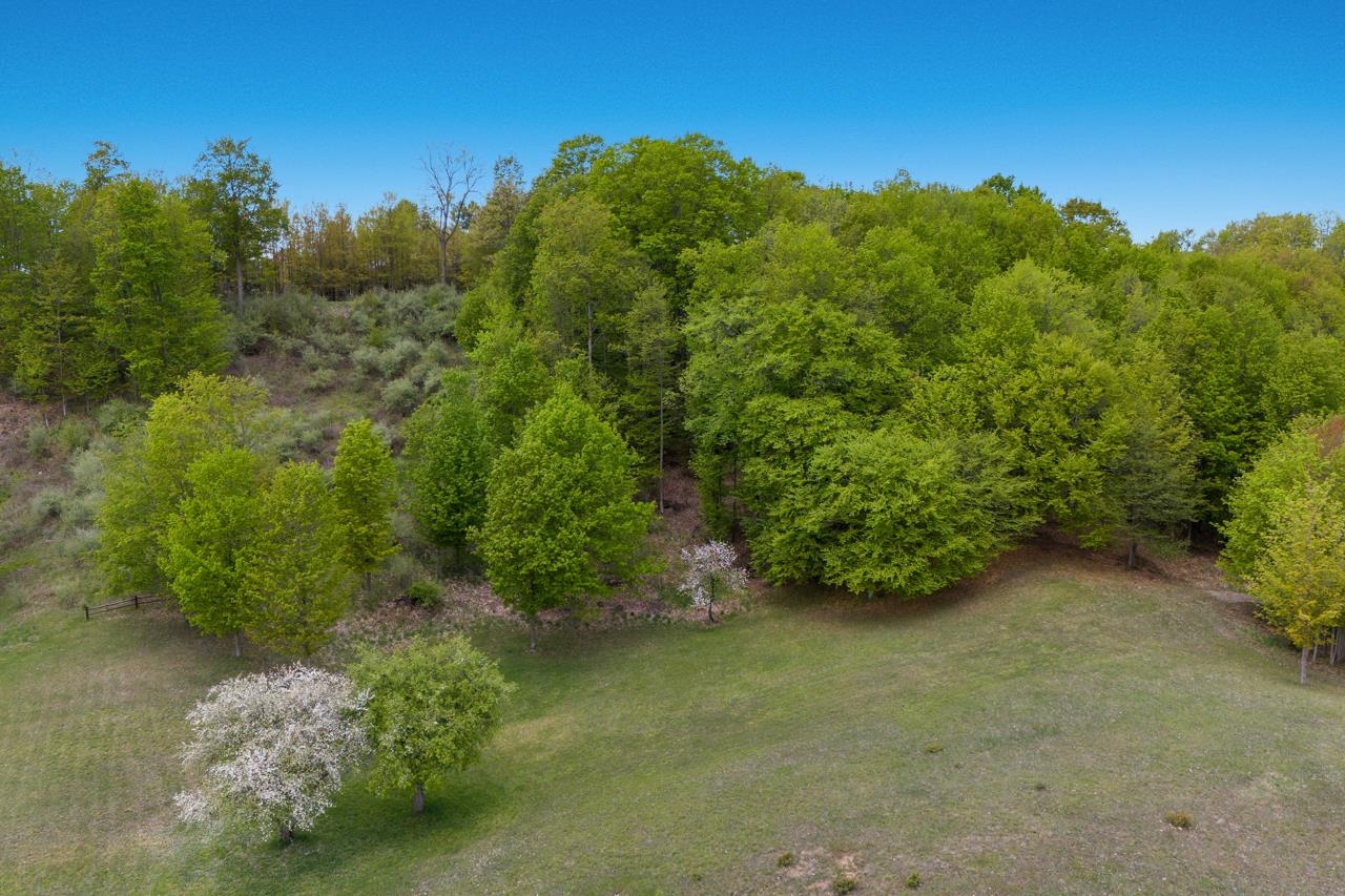 7 Miley Point Bellaire, MI 49615 - Photo 14 of 35 1922223-a16595ca-a9ea-499f-9c74-9e66fa4a6351.JPG