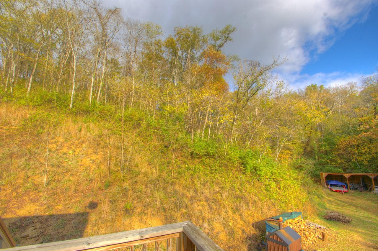 255 Green Valley Road Newport, TN 37821 - Photo 30 of 33 Yard