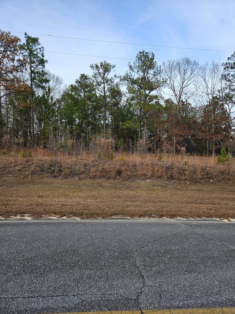 471 Old Louvale Road Cusseta, GA 31805 - Photo 13 of 26 Gallery Image 13