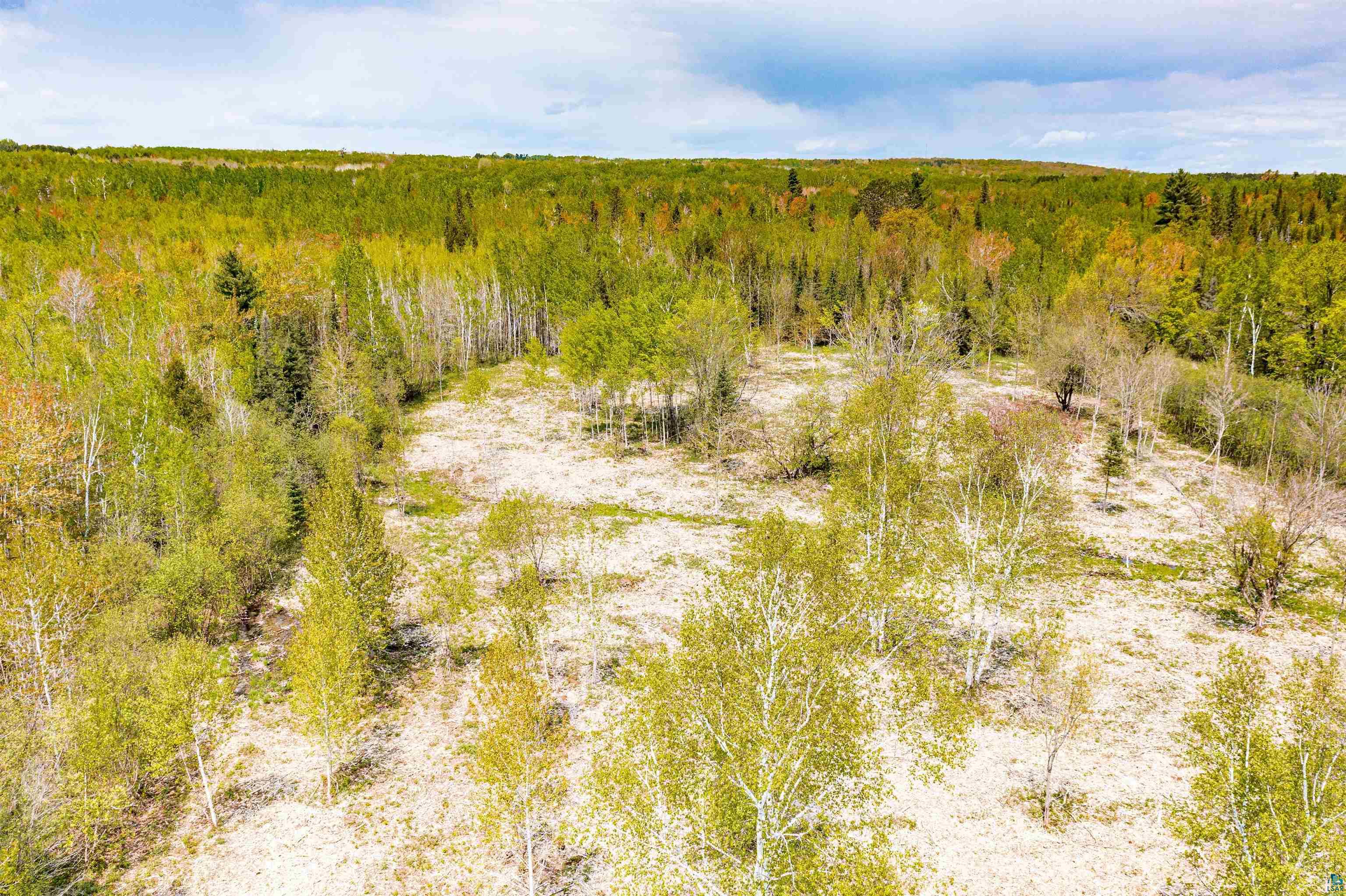30-xx Whiteside Road Duluth, MN 55804 - Photo 2 of 12 View of wooded area