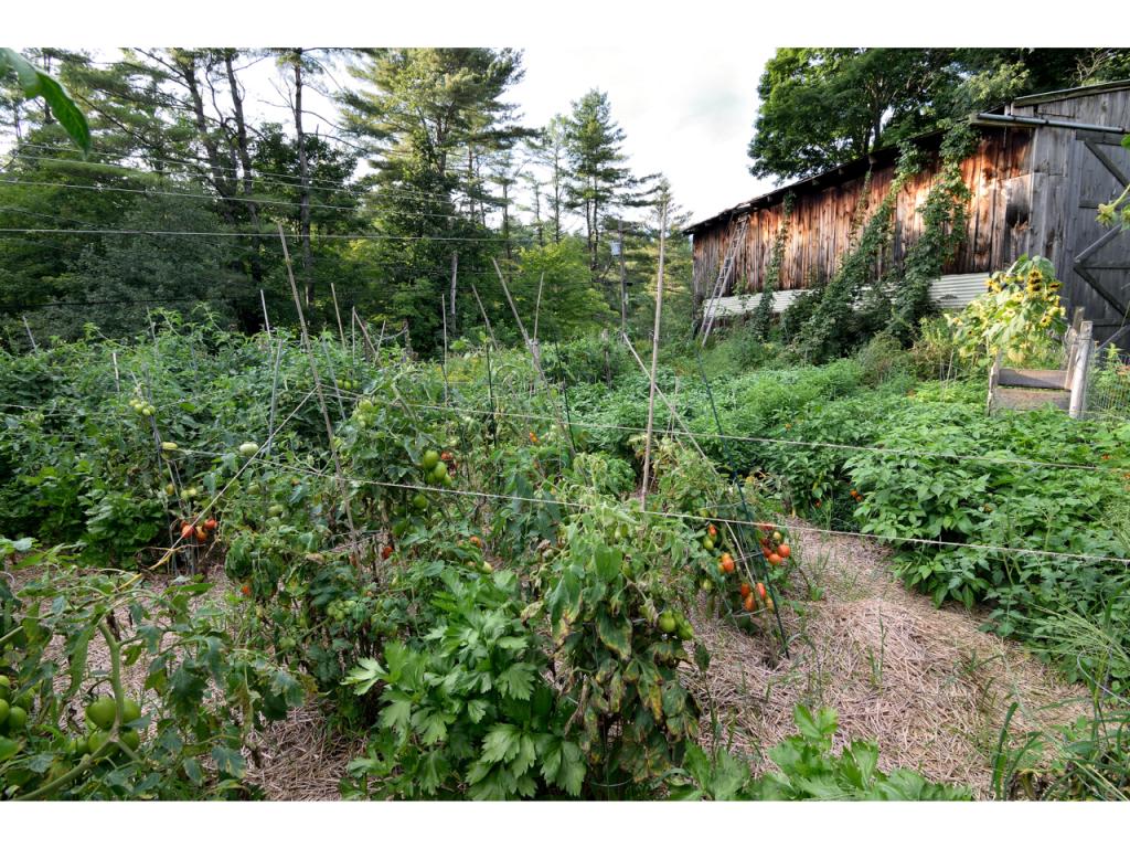 148 Browns Trace Road Jericho, VT 05465 - Photo 6 of 30 Gallery Image 6