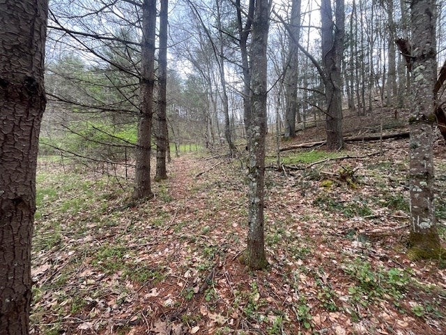 Gallery Image 7