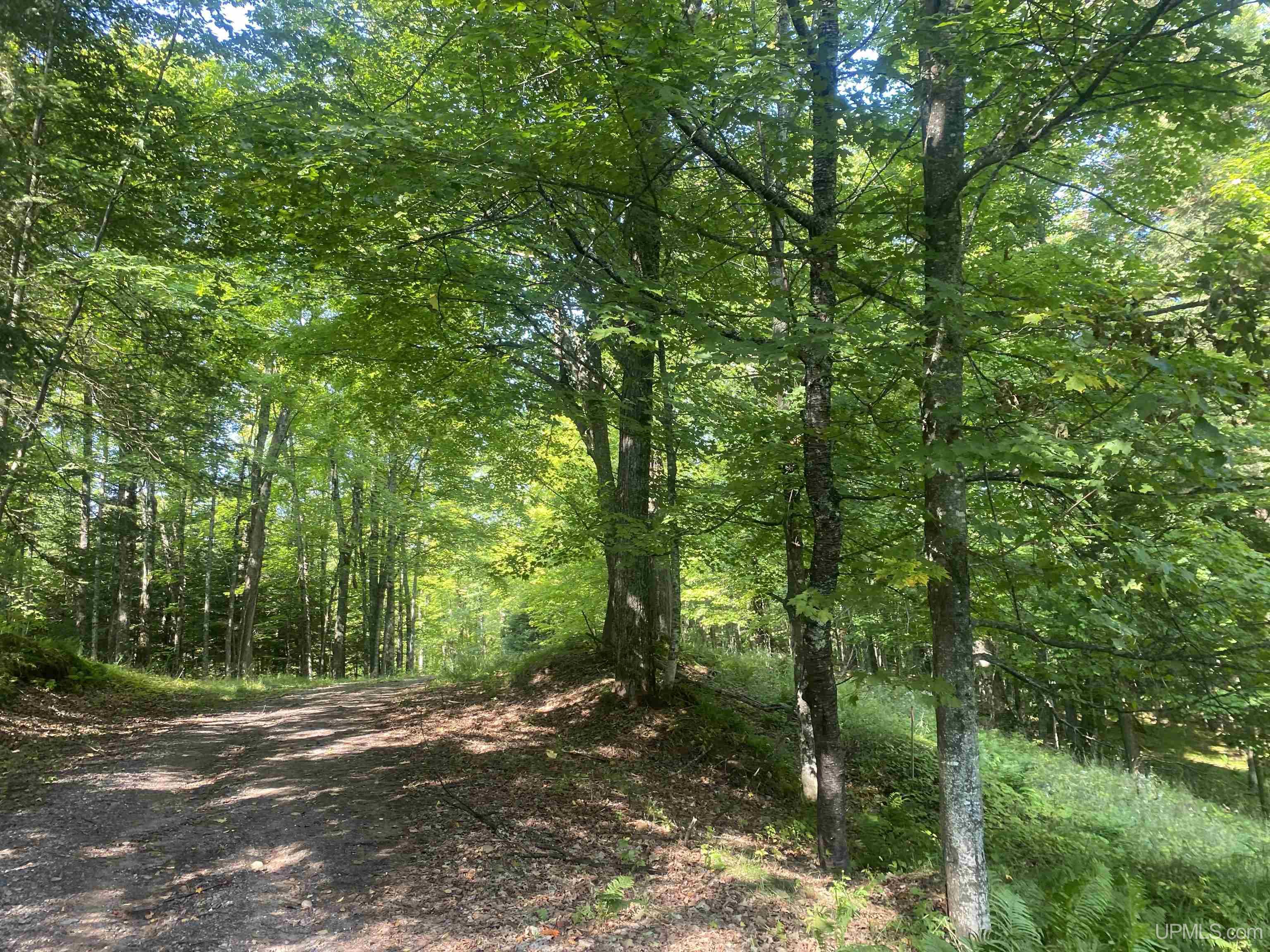13-14 Grace Lake Road Watersmeet, MI 49969 - Photo 12 of 23