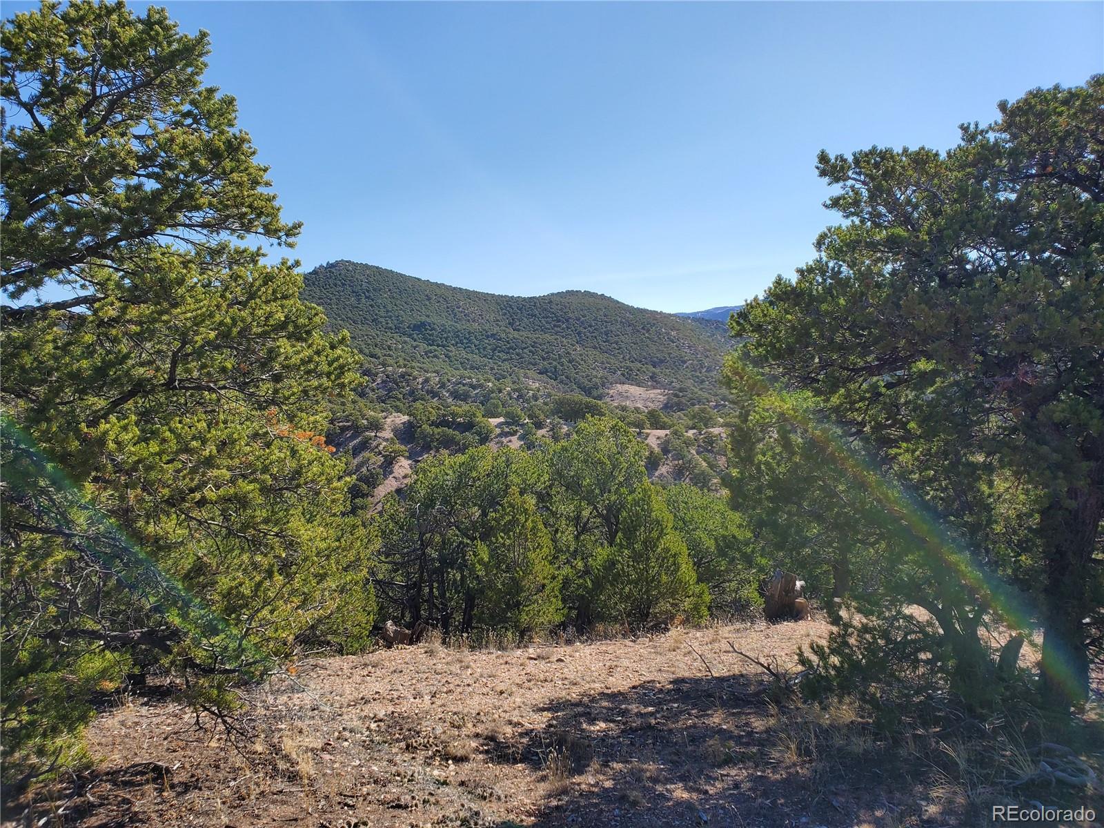 4327 Scribner Road Fort Garland, CO 81133 - Photo 4 of 20 Gallery Image 4