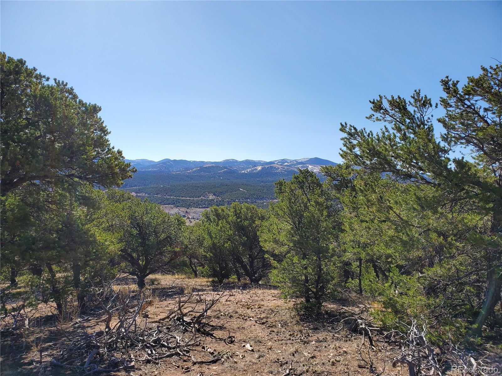 4327 Scribner Road Fort Garland, CO 81133 - Photo 8 of 20 Gallery Image 8