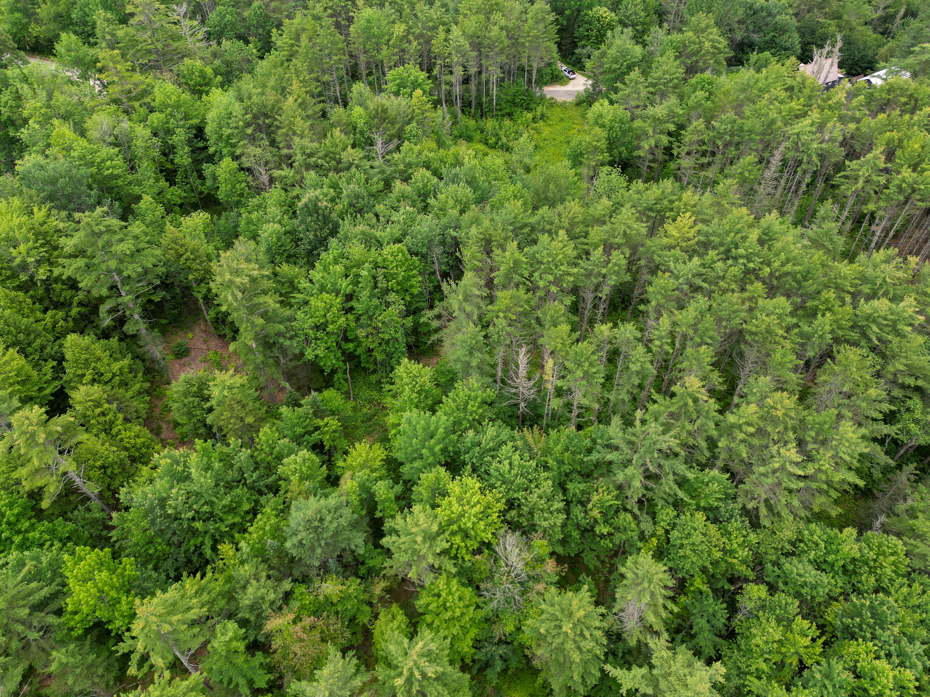 Lot 30 Irish Neighborhood Road Bethel, ME 04217 - Photo 18 of 24 DJI_0623
