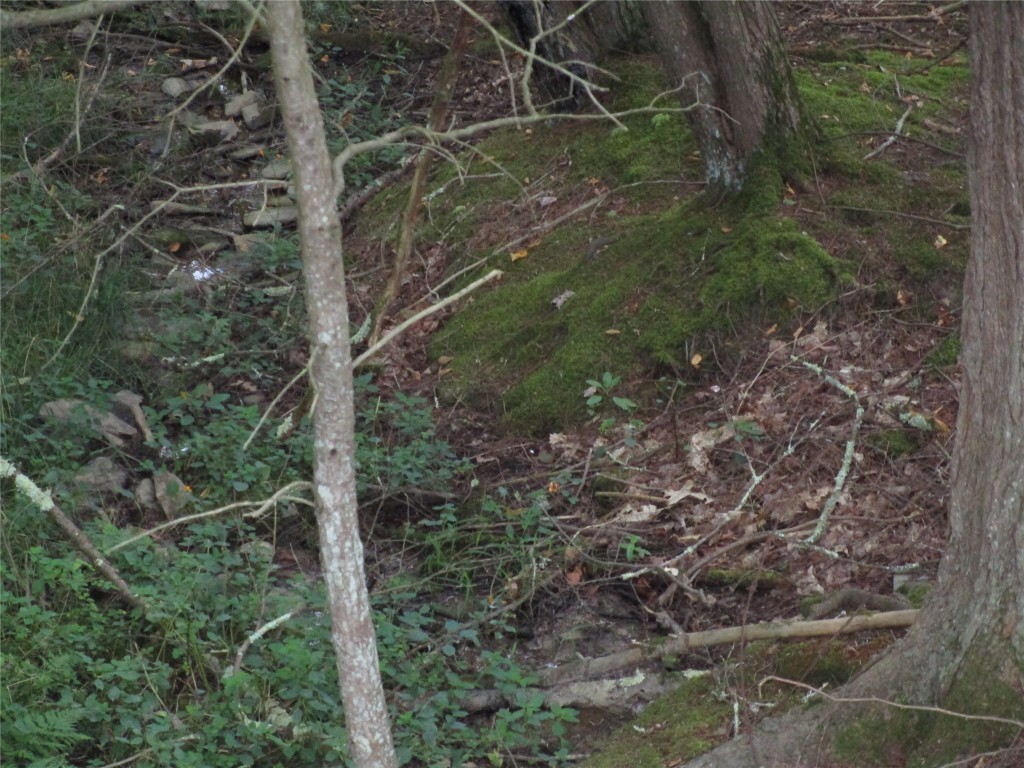 139 Burts Road Kirkwood, NY 13795 - Photo 12 of 37