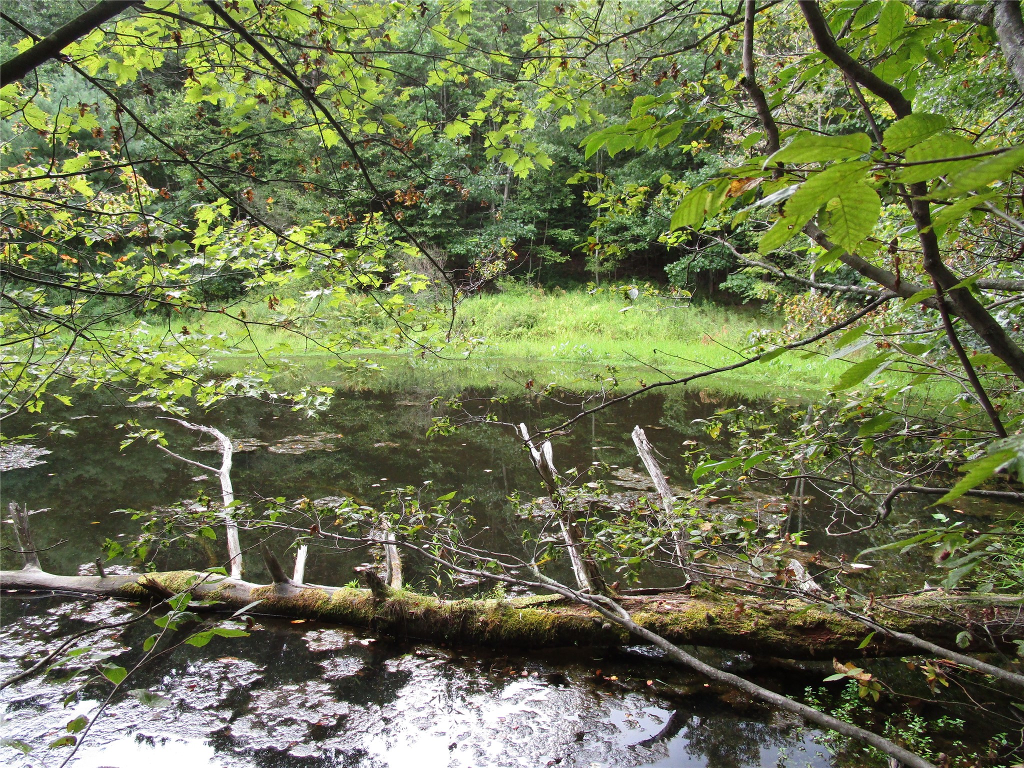 139 Burts Road Kirkwood, NY 13795 - Photo 13 of 37