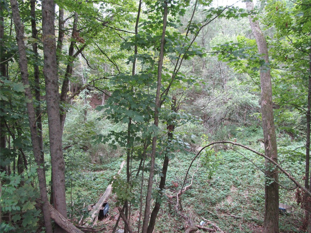 139 Burts Road Kirkwood, NY 13795 - Photo 16 of 37