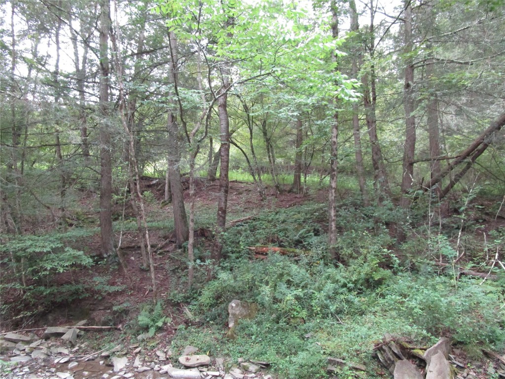 139 Burts Road Kirkwood, NY 13795 - Photo 17 of 37