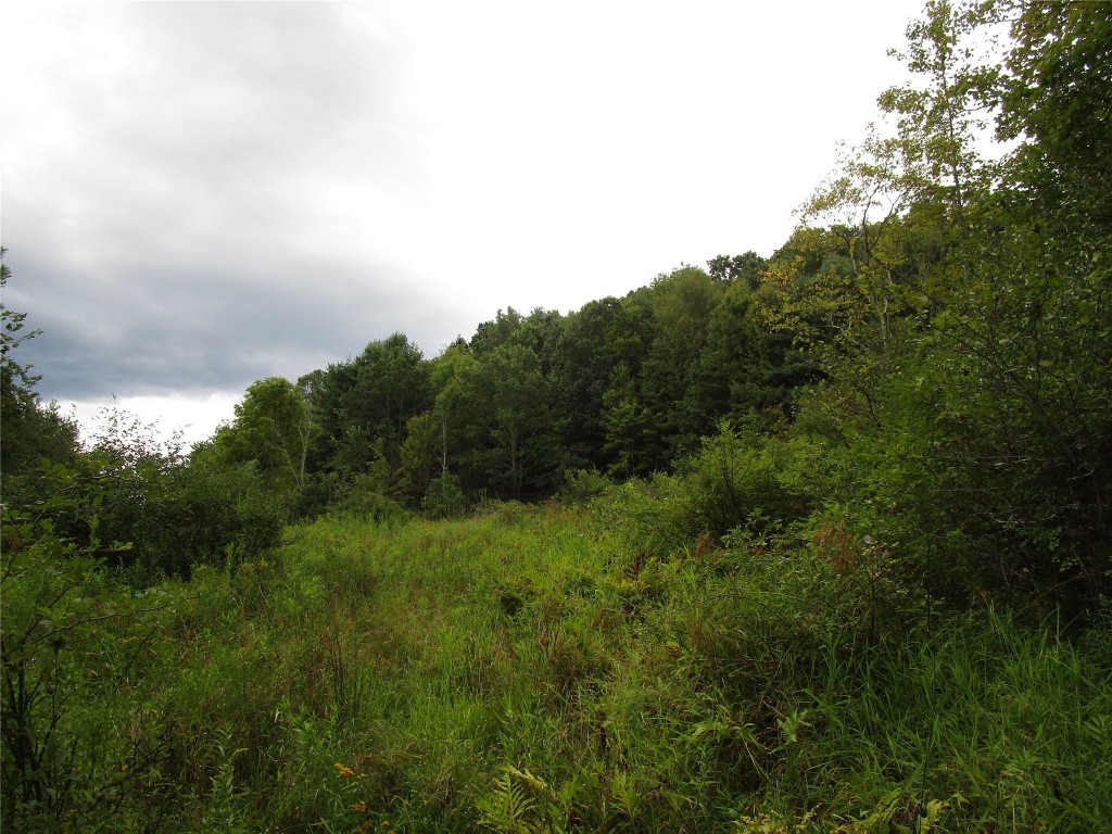 139 Burts Road Kirkwood, NY 13795 - Photo 18 of 37