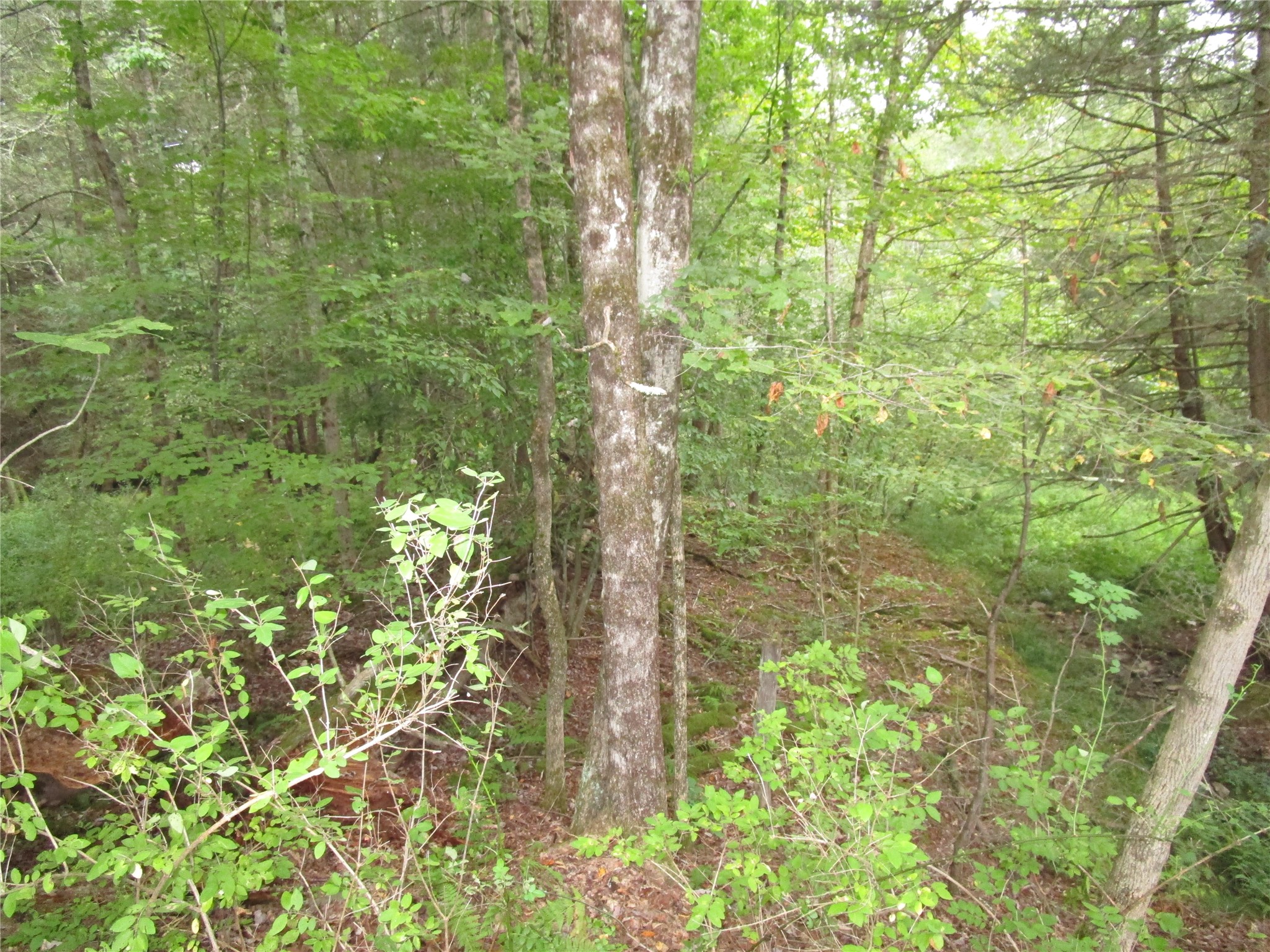 139 Burts Road Kirkwood, NY 13795 - Photo 19 of 37