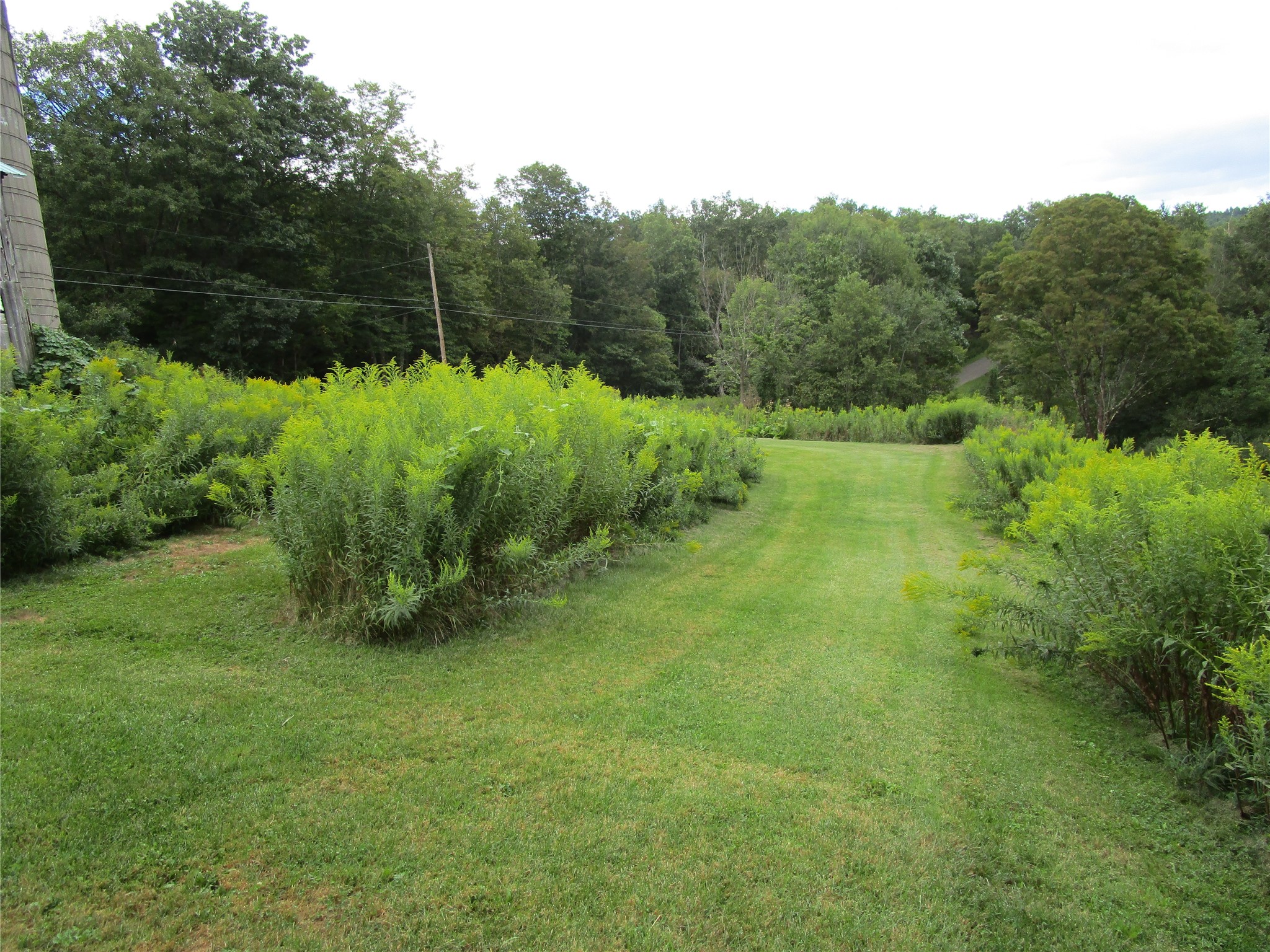 139 Burts Road Kirkwood, NY 13795 - Photo 20 of 37