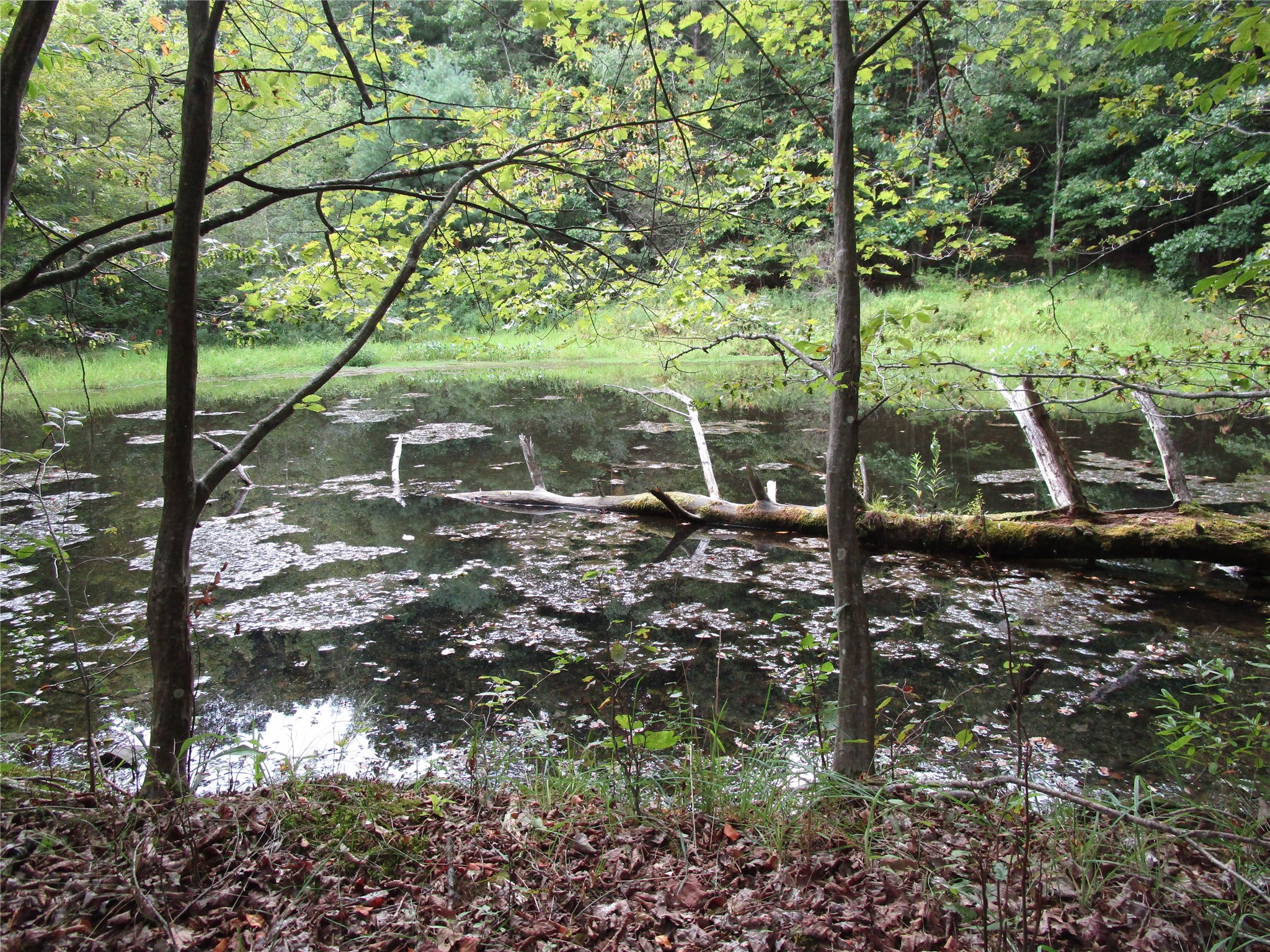 139 Burts Road Kirkwood, NY 13795 - Photo 23 of 37