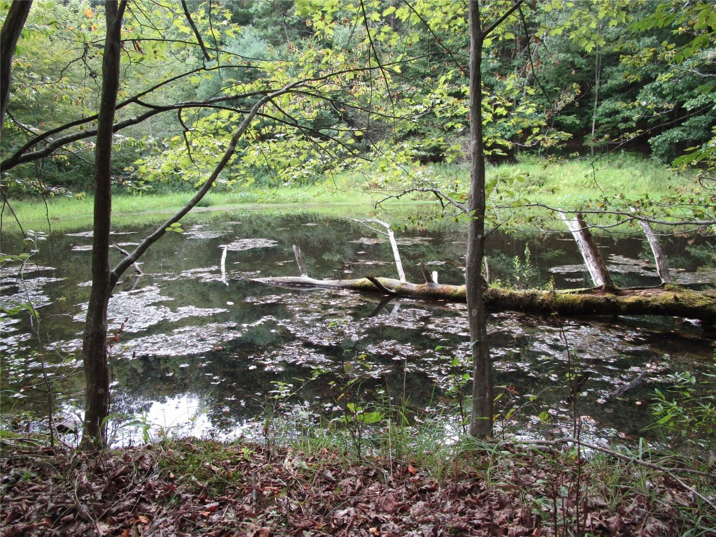 139 Burts Road Kirkwood, NY 13795 - Photo 23 of 37