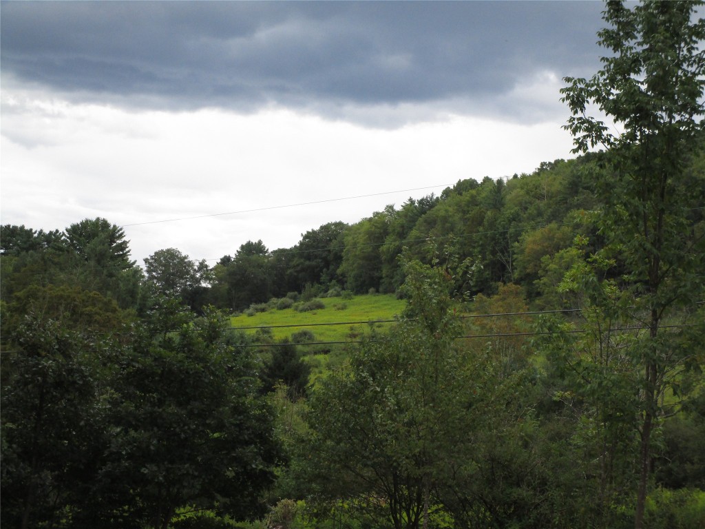 139 Burts Road Kirkwood, NY 13795 - Photo 24 of 37