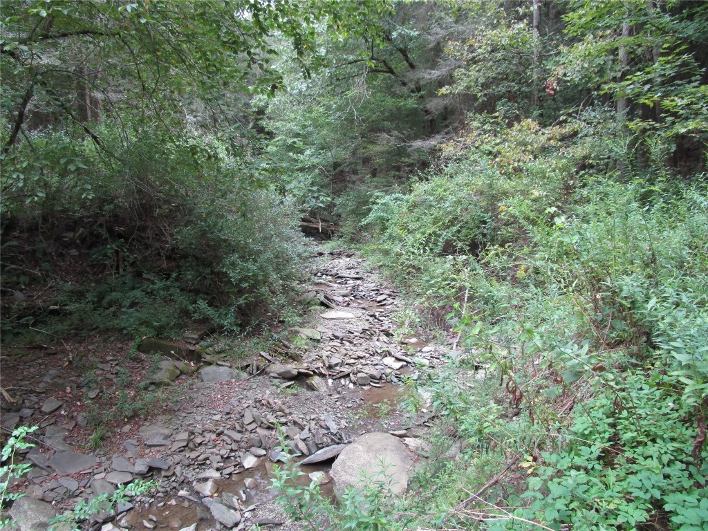 139 Burts Road Kirkwood, NY 13795 - Photo 8 of 37