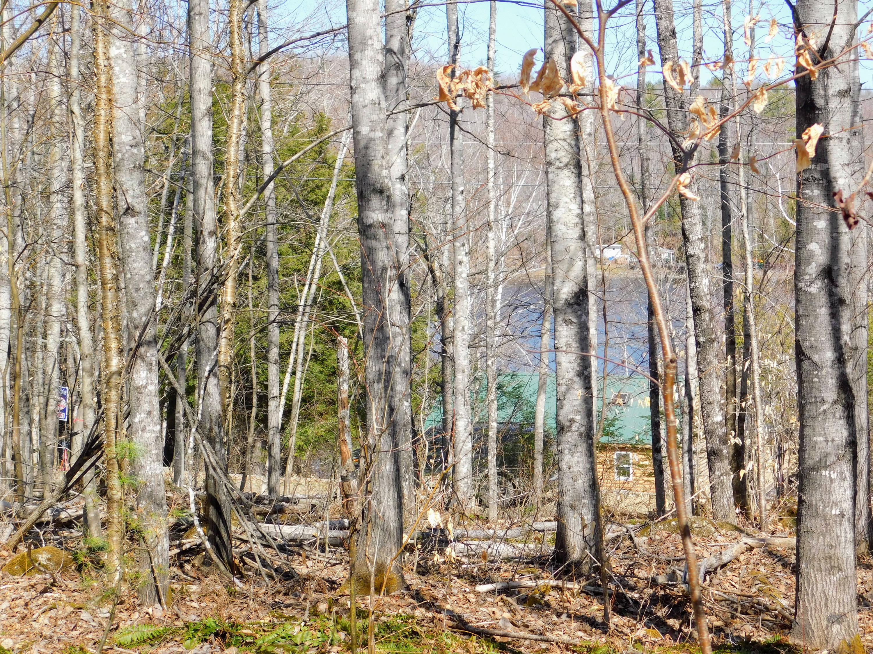 Lot 33 Sunset Ridge Road Sebec, ME 04481 - Photo 11 of 17 DSCN1613