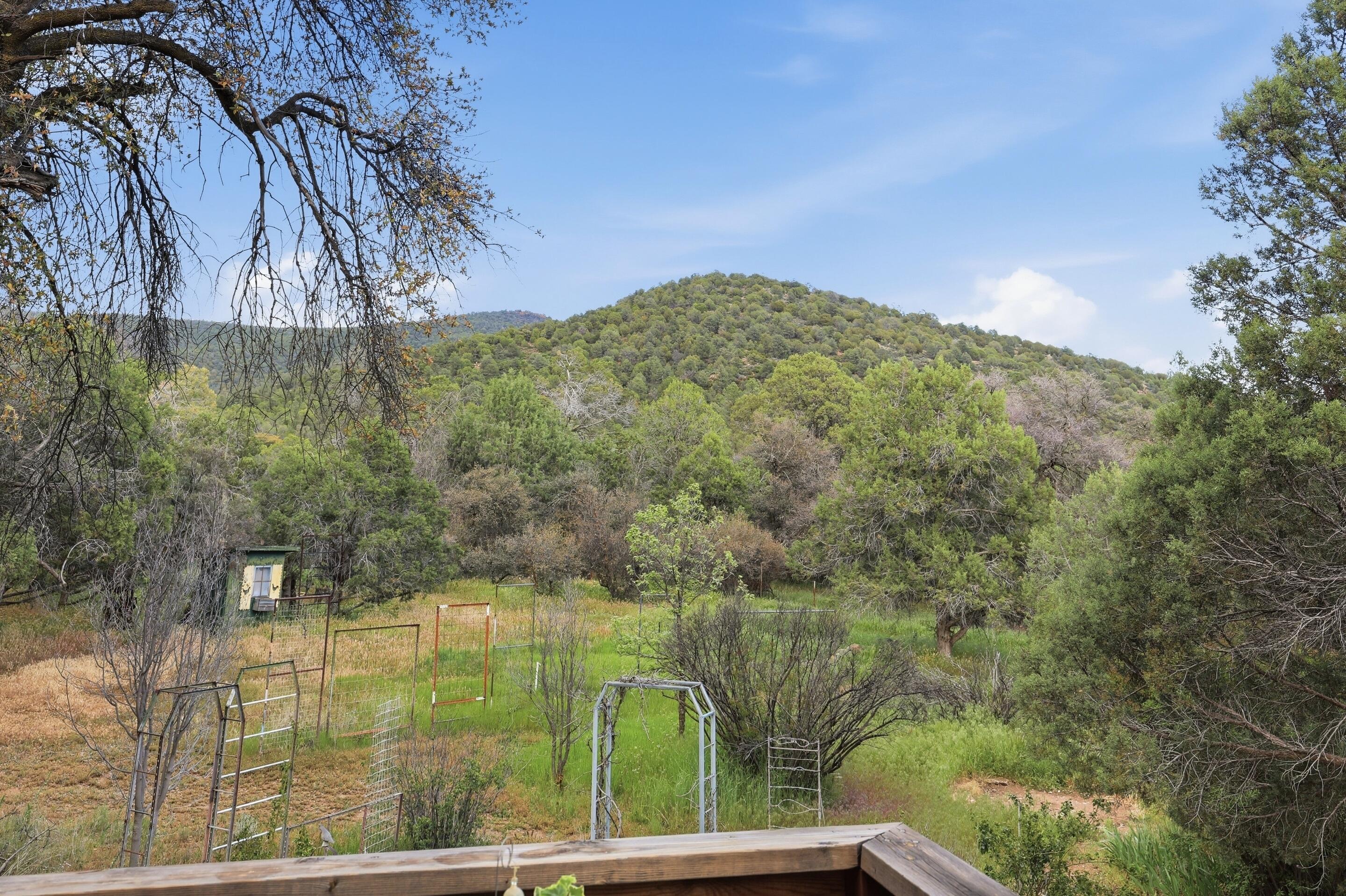 8135 West Gibson Ranch Road Payson, AZ 85541 - Photo 23 of 43 View