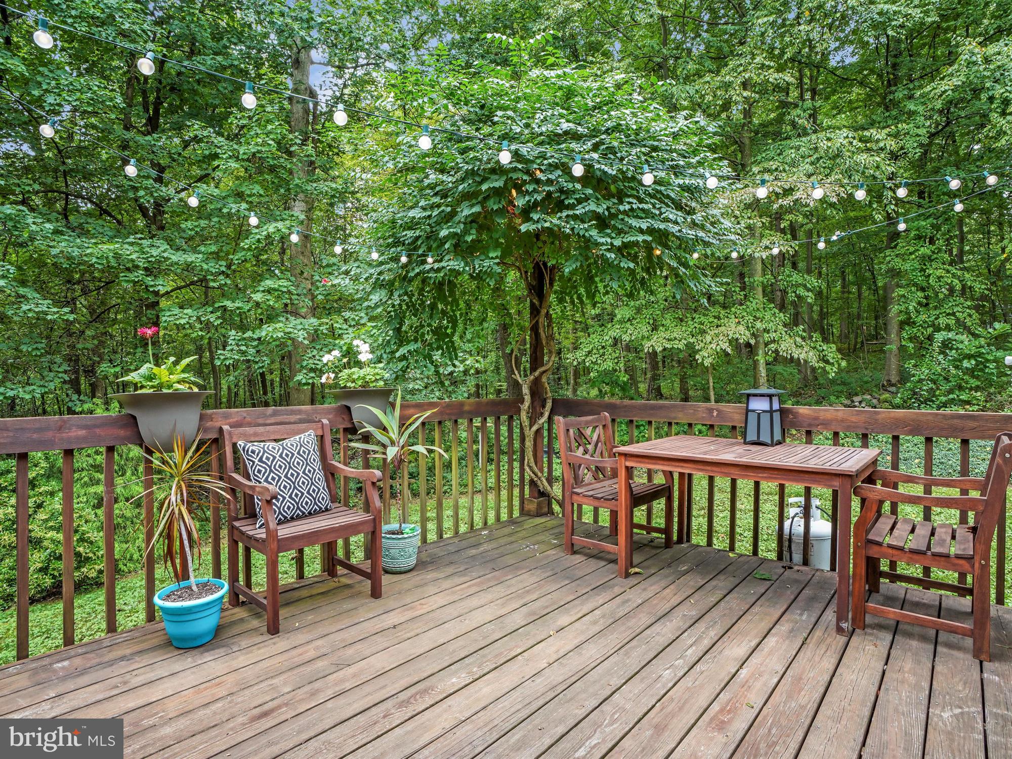 2058 St Peters Road Pottstown, PA 19465 - Photo 22 of 39 Great Deck with View for you and guests!