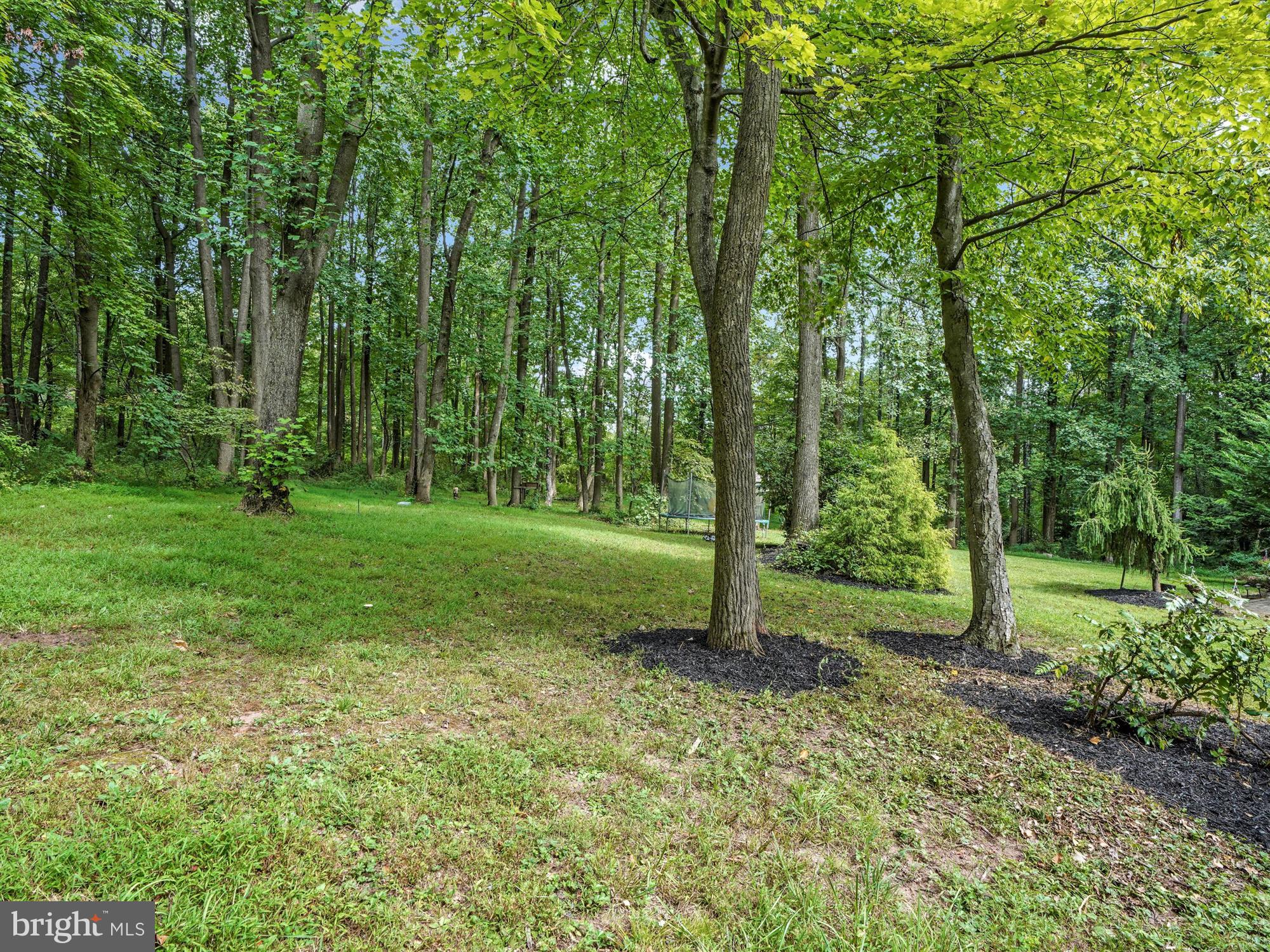 2058 St Peters Road Pottstown, PA 19465 - Photo 39 of 39 Backyard